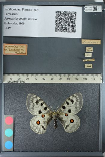 Media type: image;   Entomology 175370